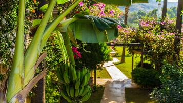 Habitación superior | Vista del balcón