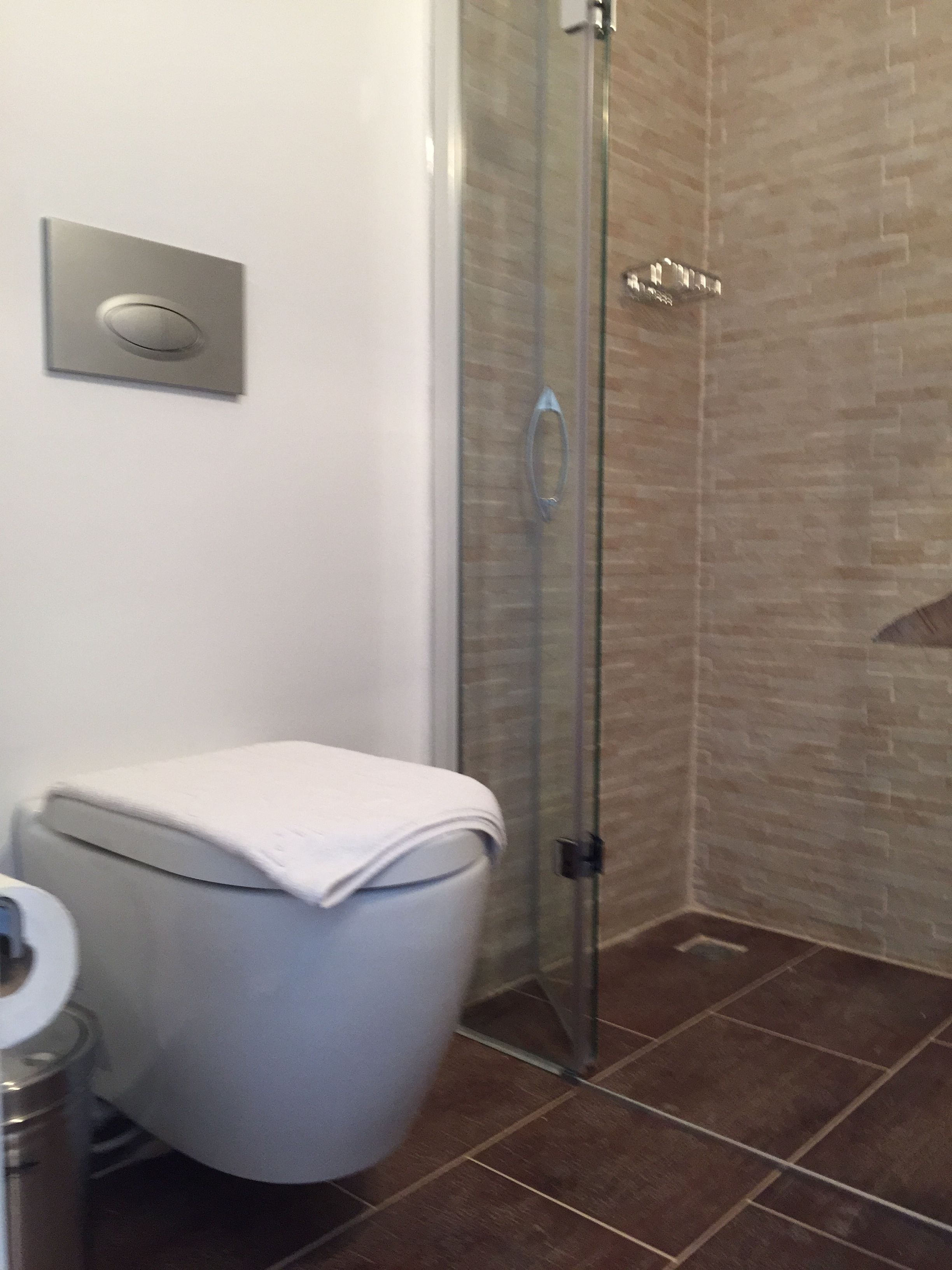 A bathroom with a toilet, a glass shower enclosure, and a wall-mounted flush handle.