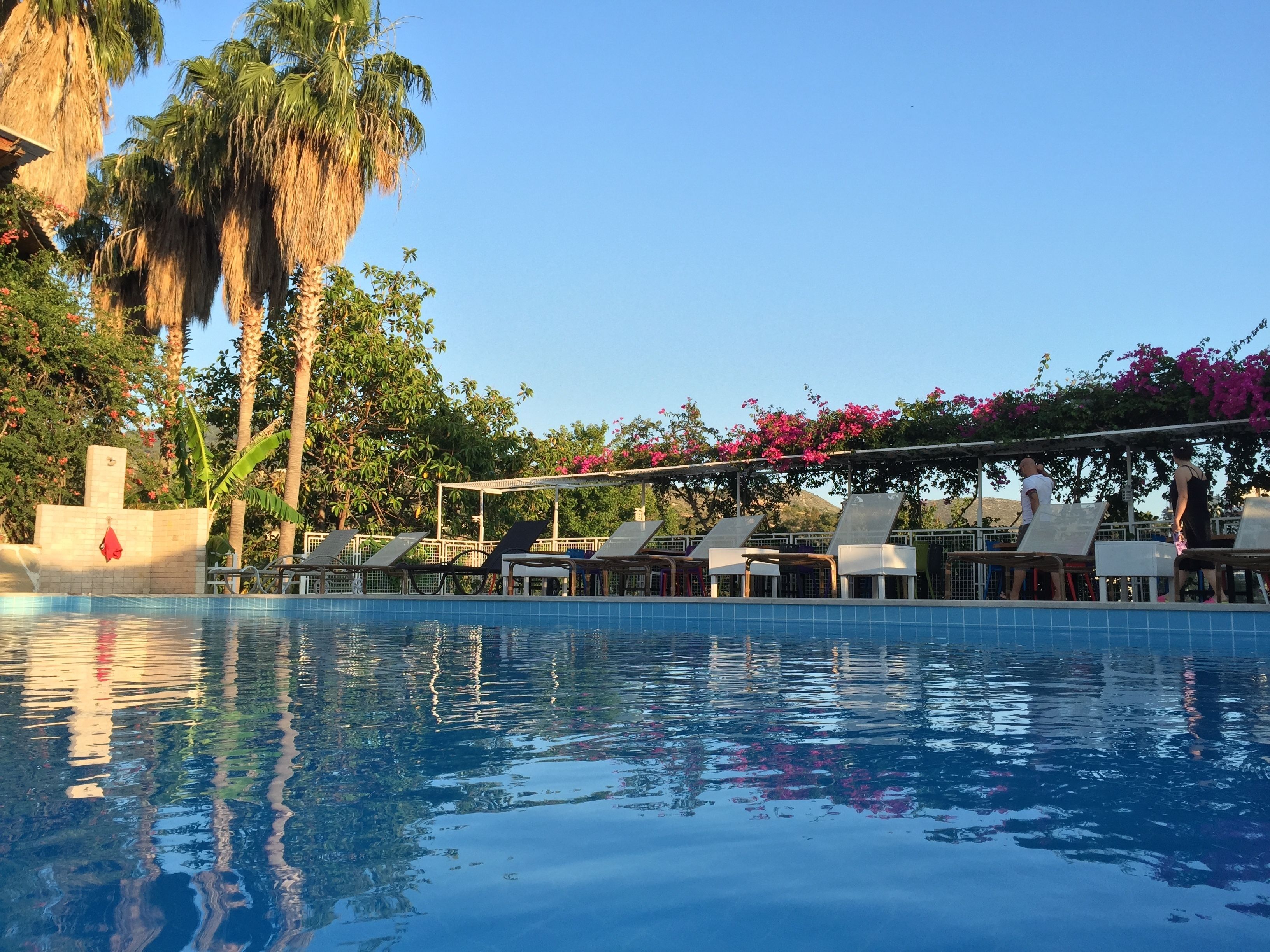 outdoor pool, pool umbrellas, pool loungers