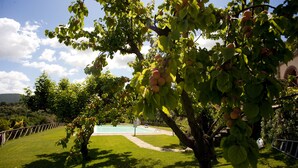 Un exuberante jardín con piscina, rodeado de un césped cuidado y una valla.
