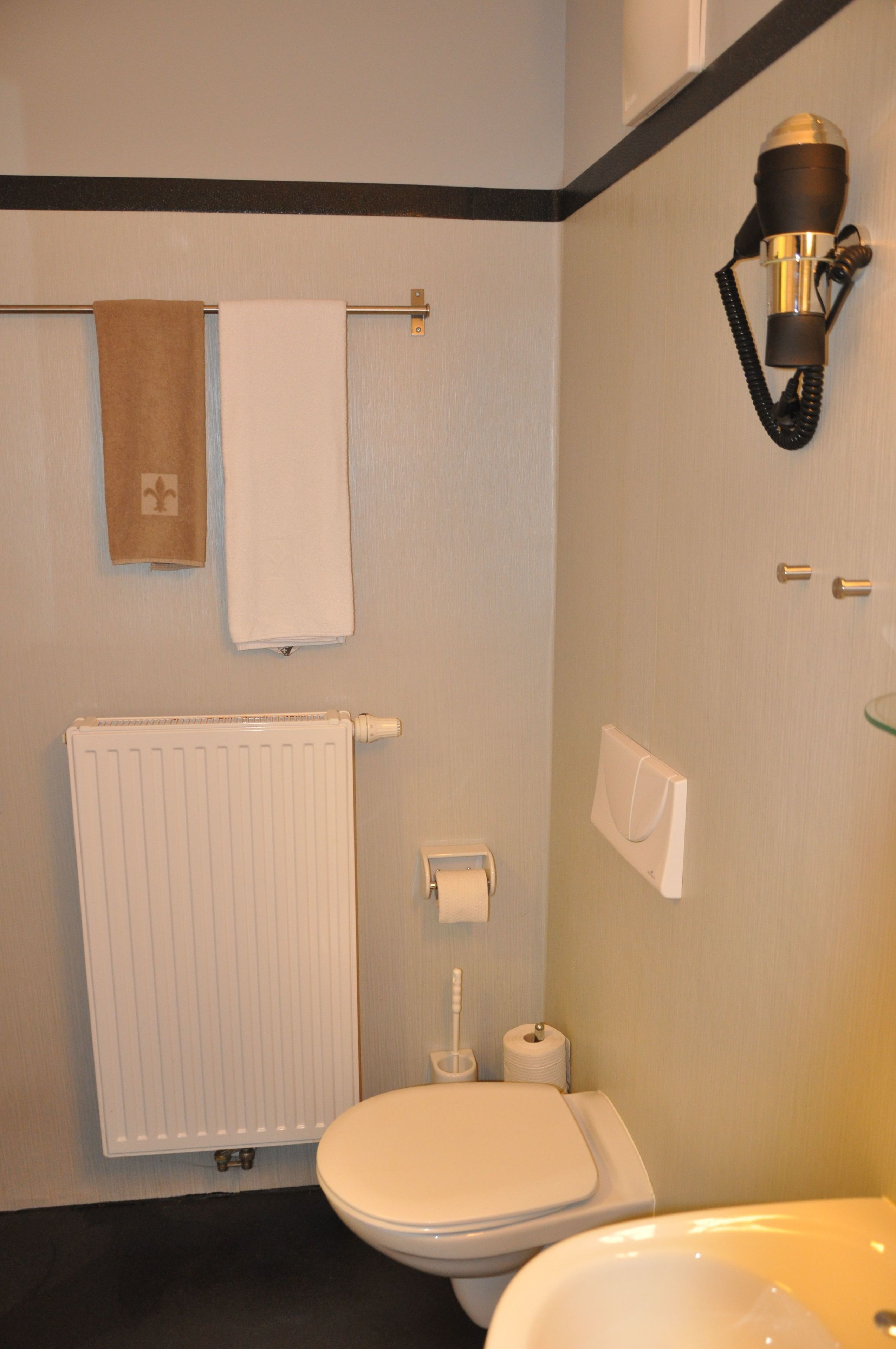 Un baño con inodoro, bidé, toallero, radiador y una lámpara de pared.