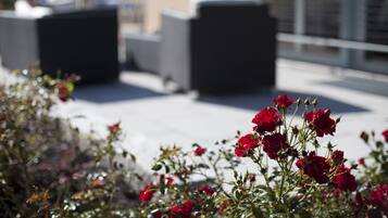 A rooftop garden with red flowers and outdoor seating.