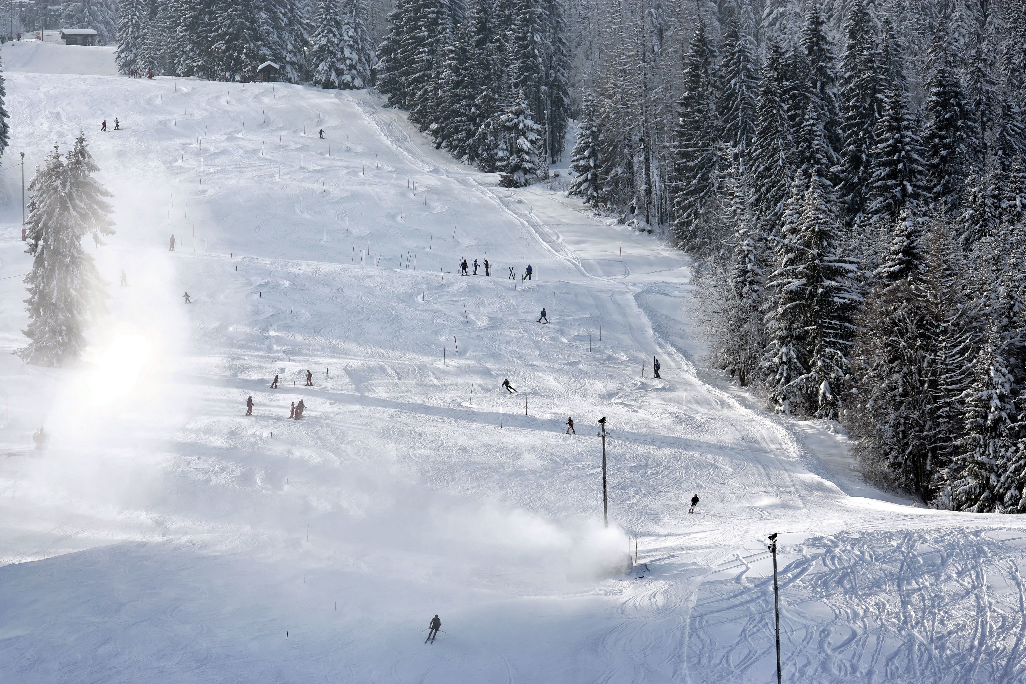 A snowy ski slope with skiers and a forested area.