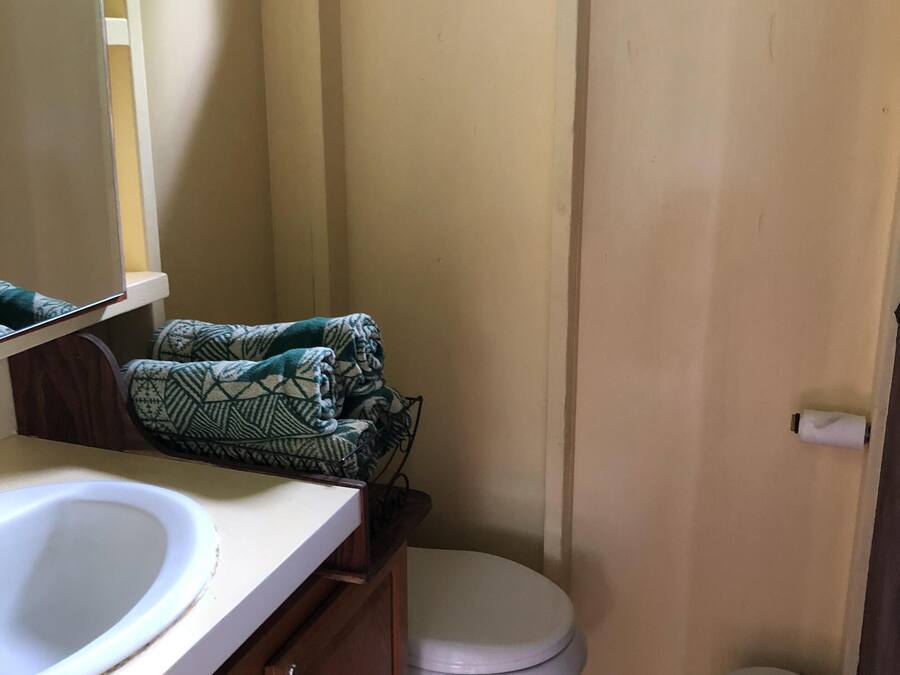 Ein kleines Badezimmer mit einem weißen Waschbecken, einer Toilette und einem Mülleimer.
