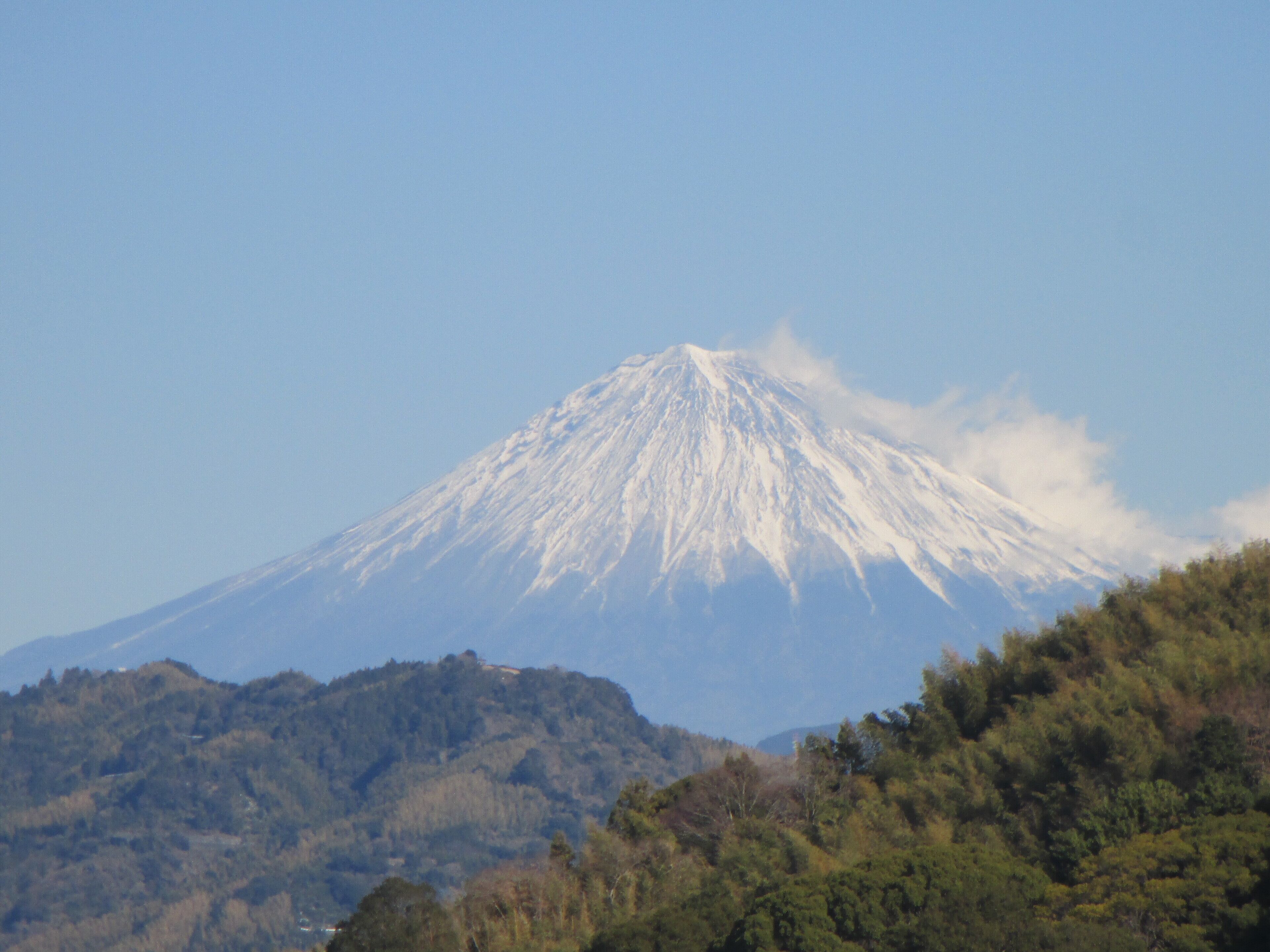 deluxe twin room, non smoking | 1 bedroom, down duvets, desk, free wifi