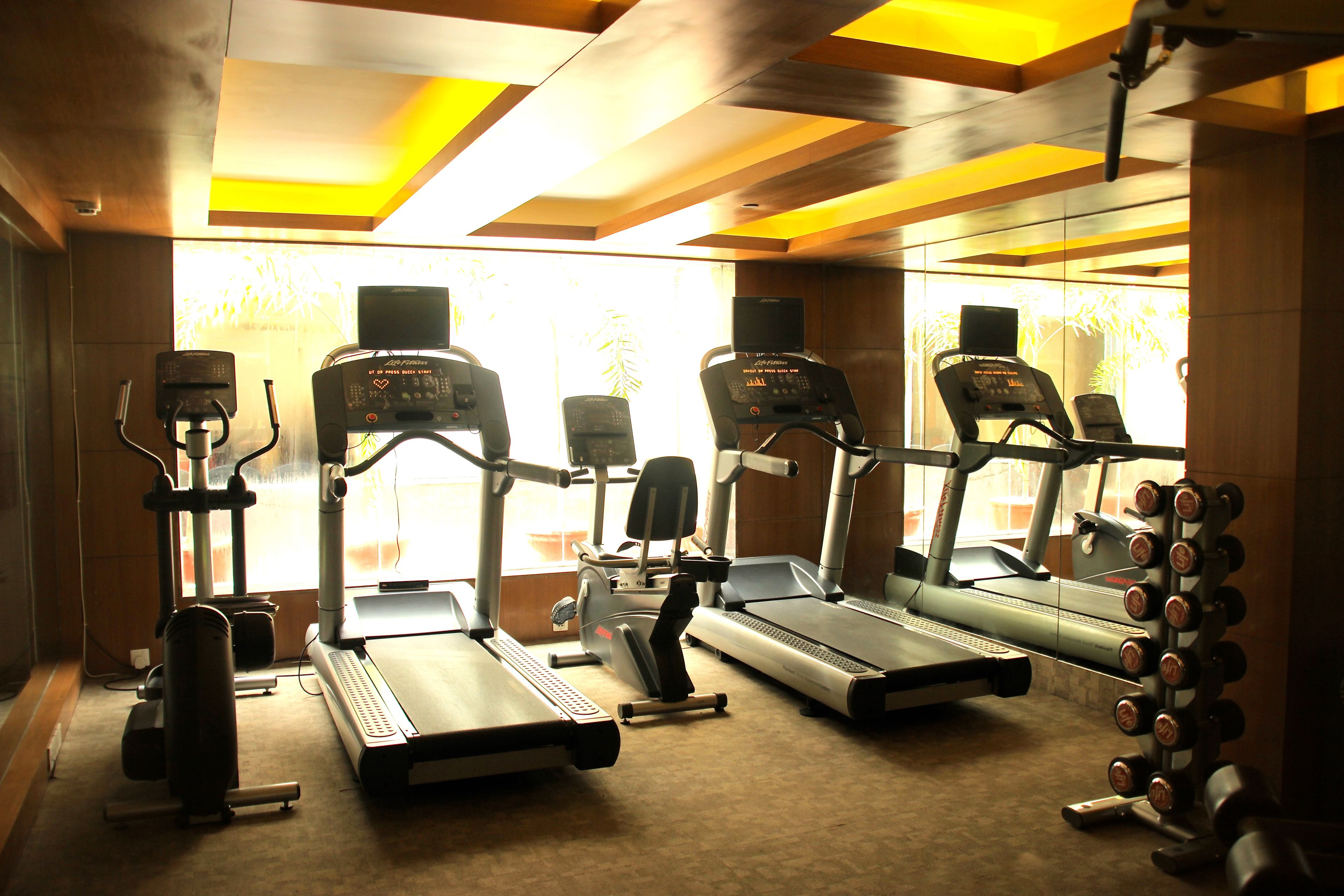 Gimnasium