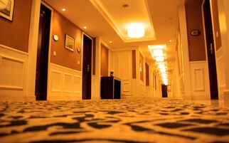 Un pasillo de hotel con piso alfombrado, puertas a ambos lados y una serie de luces a lo largo del techo.