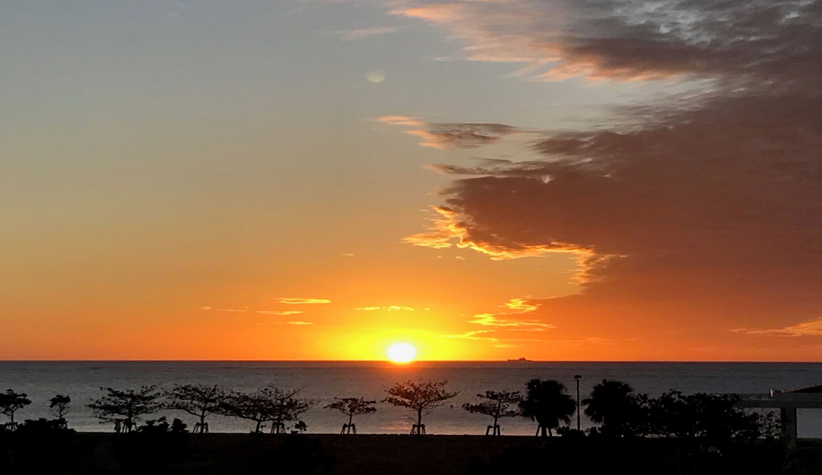 A sunset over the ocean with silhouettes of trees and a clear sky.