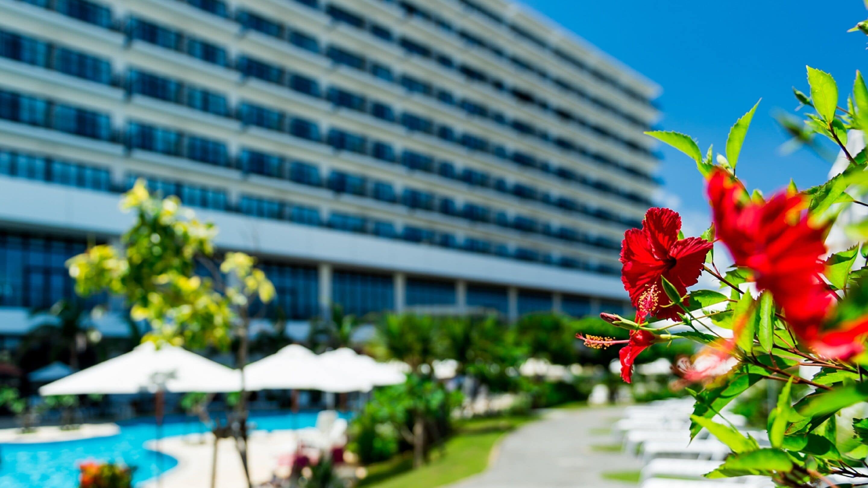 Un hotel con zona de piscina, mobiliario exterior y un edificio grande al fondo.