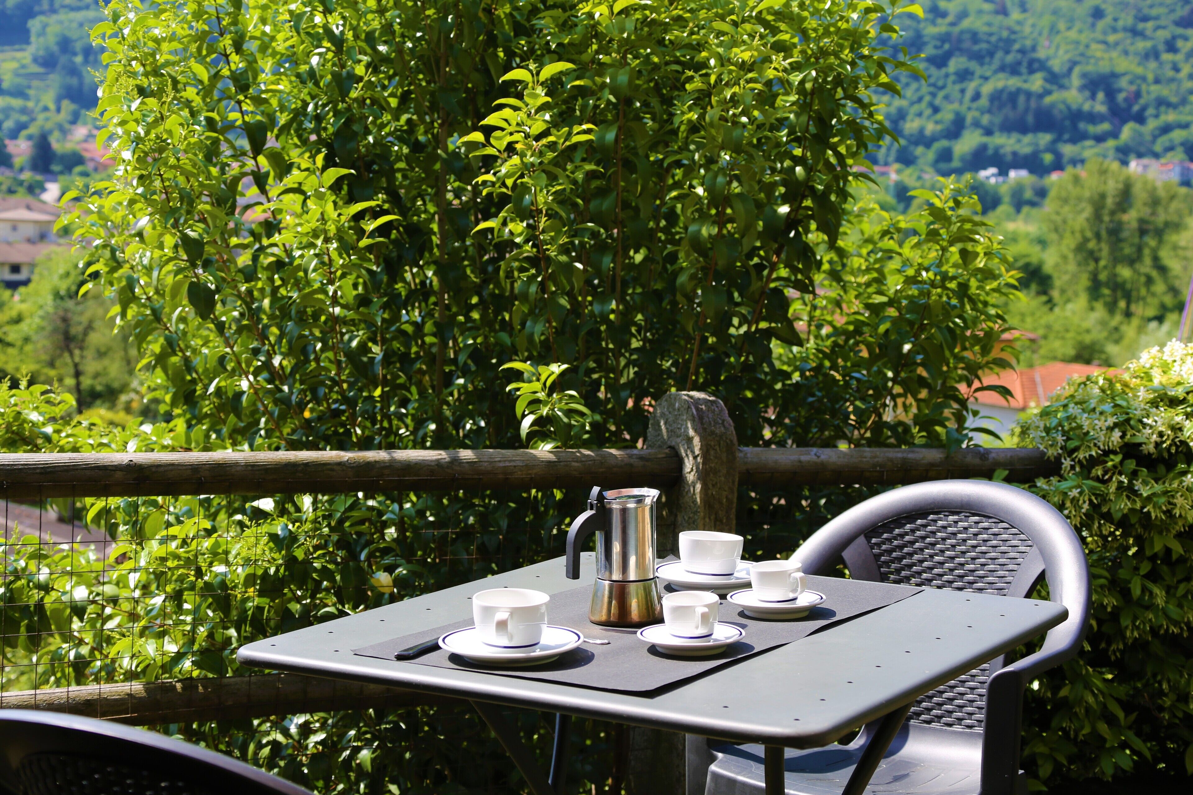 Una mesa al aire libre con tazas y una cafetera, rodeada de follaje y una valla de madera.
