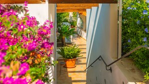 Un pasillo exterior cubierto con plantas en macetas y una escalera.