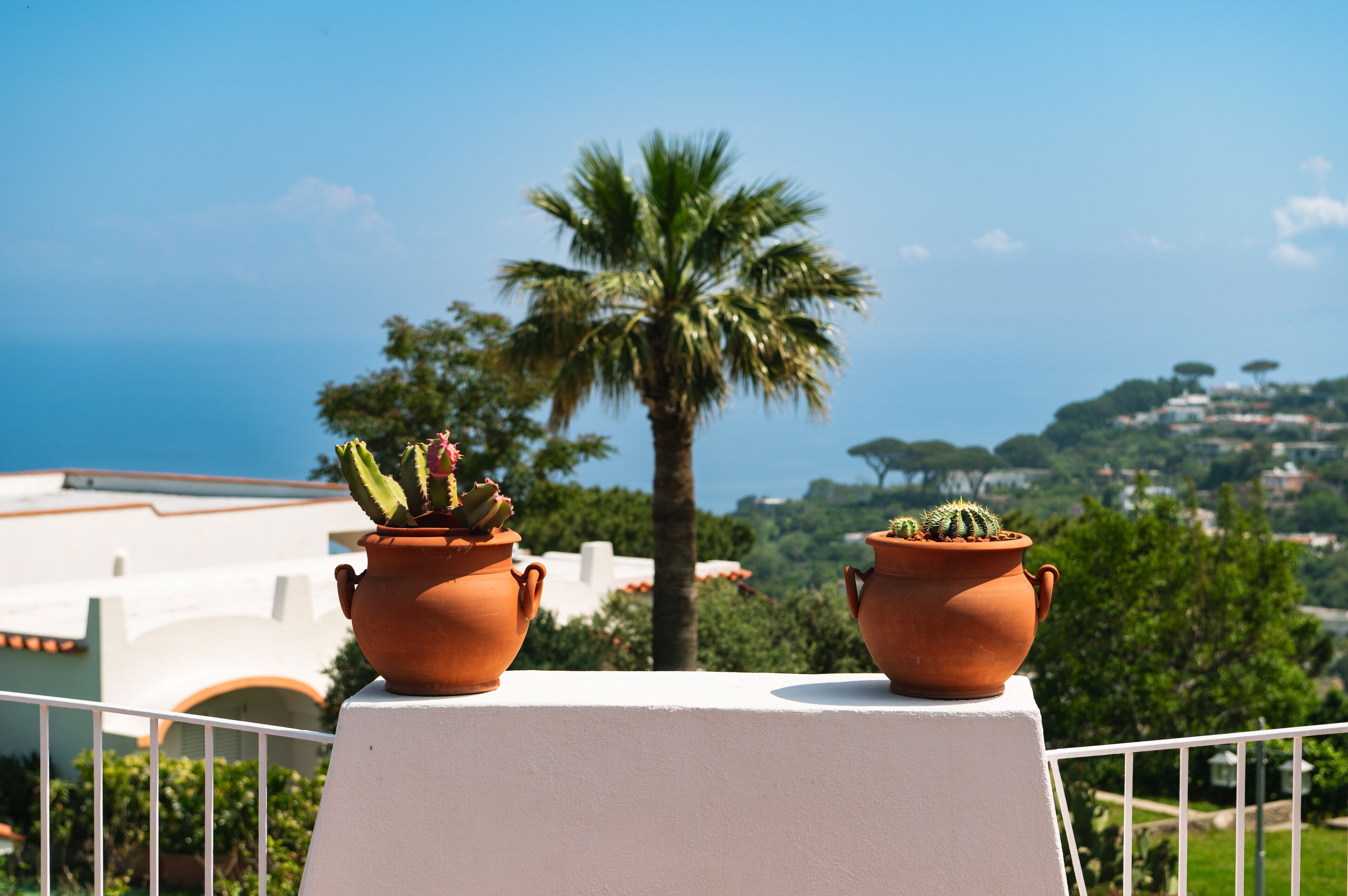 Foto - Poggio Aragosta Hotel & Spa