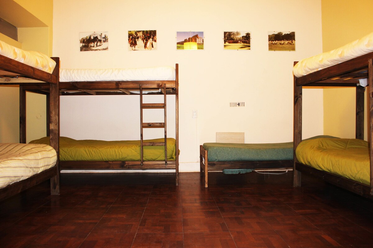 Shared Dormitory, 1 Twin Bed, Shared Bathroom