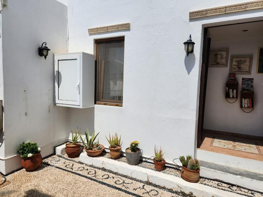 A white building with a door, windows, and potted plants.
