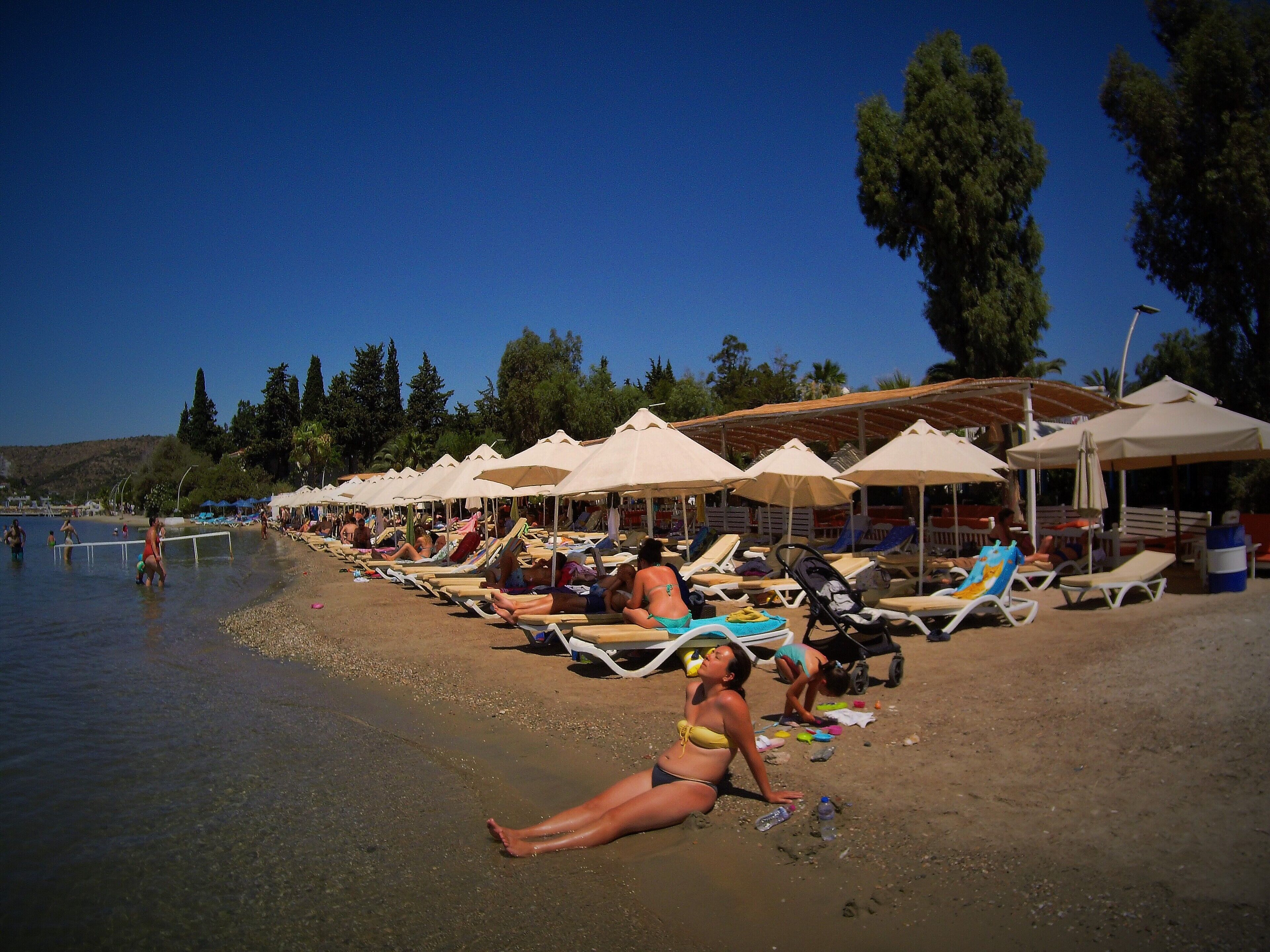 A beach with sun loungers and umbrellas, a clear sky, and trees in the background.