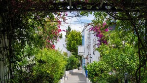 A narrow pathway flanked by lush greenery and flowering plants, leading to a building with blue accents. - Manuela Hotel (Bodrum)