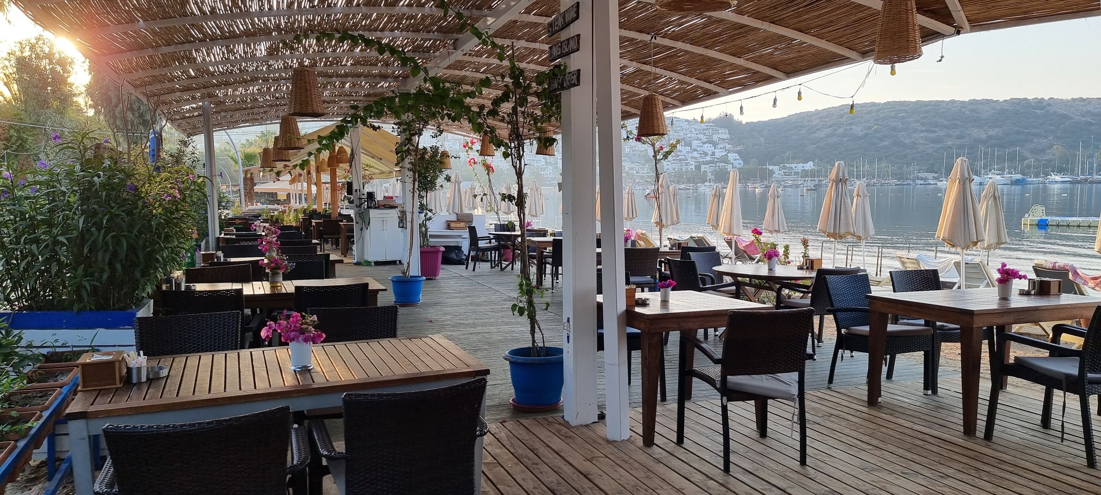 An outdoor dining area with wooden tables and chairs, surrounded by potted plants and umbrellas.