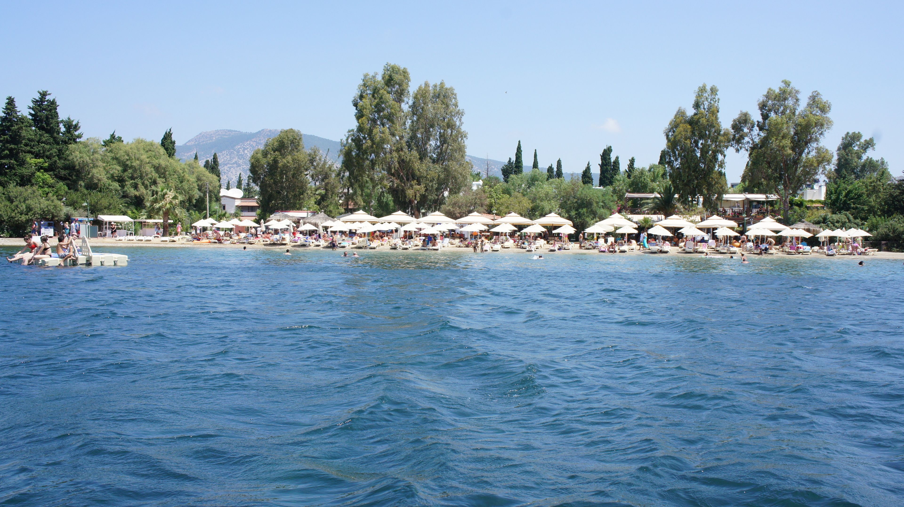 الإطلالة من المنشأة