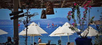 Manuela Hotel