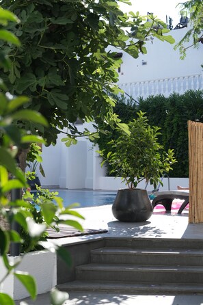 Outdoor pool, pool umbrellas, sun loungers