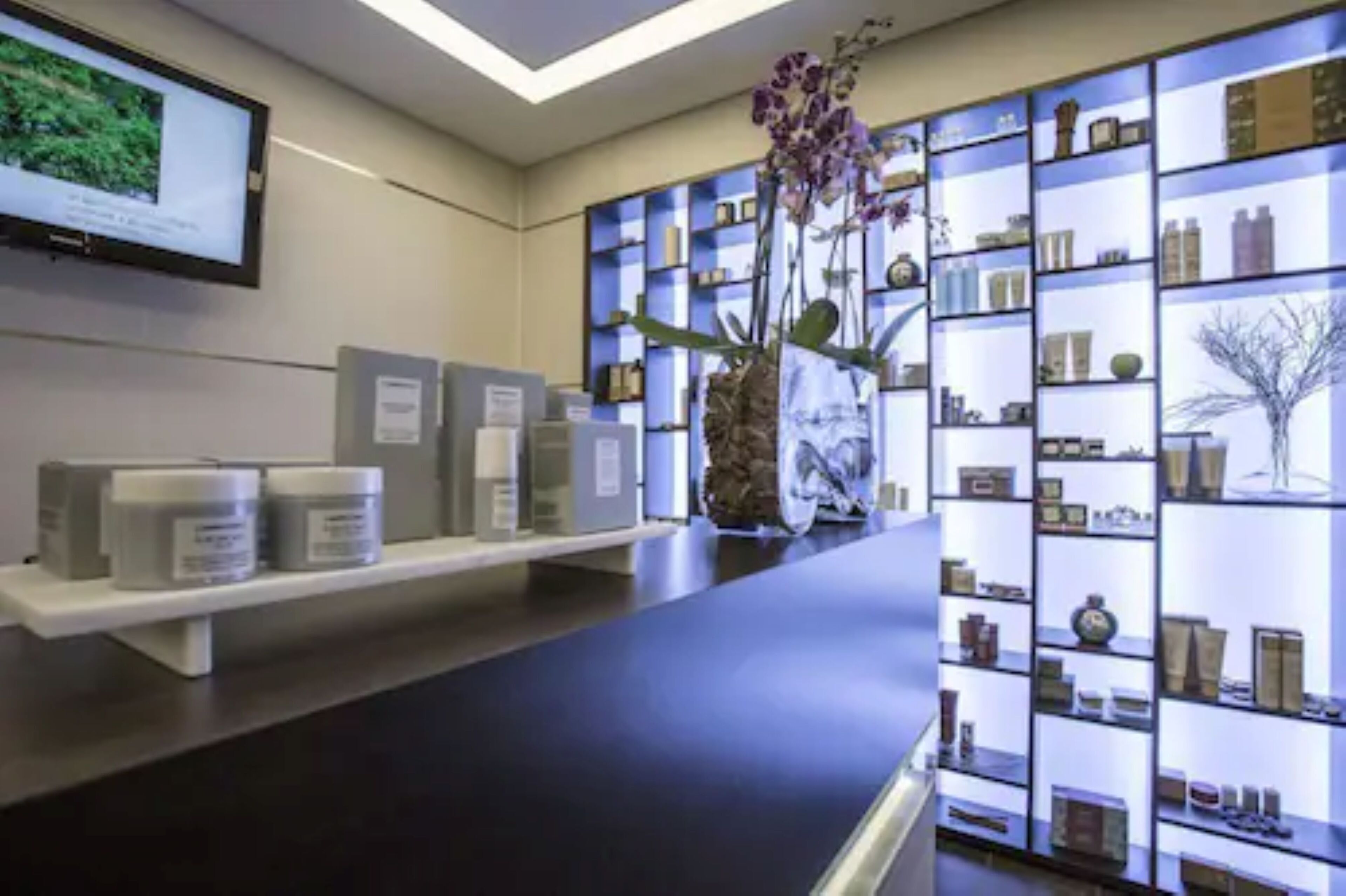 A reception area with a counter, shelves with products, and a large screen displaying a nature scene.