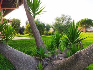A garden with a large tree trunk, green plants, and a pathway. - CuccuruAio' B&B (Siamaggiore)