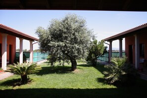 Un patio con un árbol grande, una piscina y un edificio de columnas.