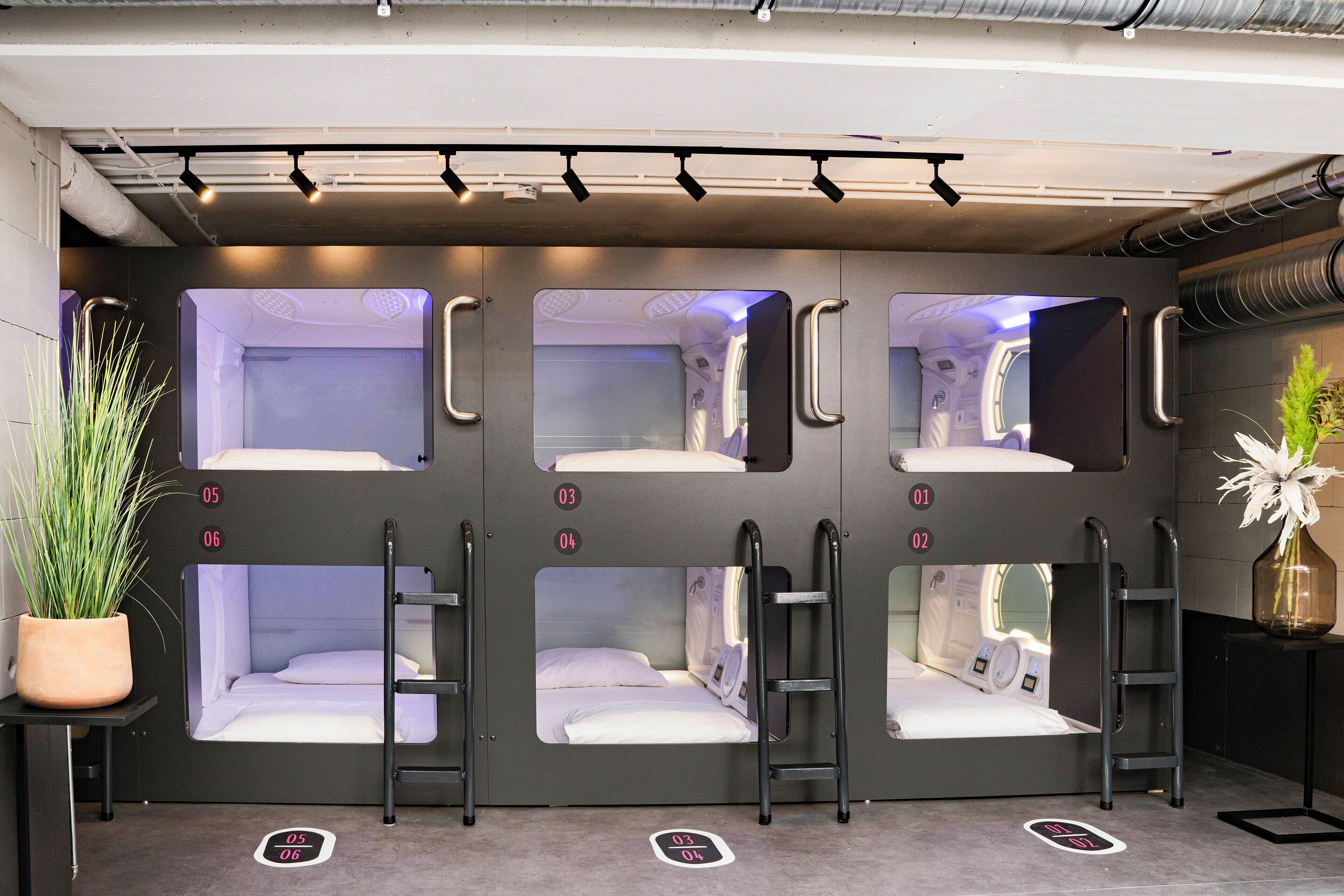 Une chambre sur le thème du train, avec des lits superposés, des portes numérotées et une plante en pot.