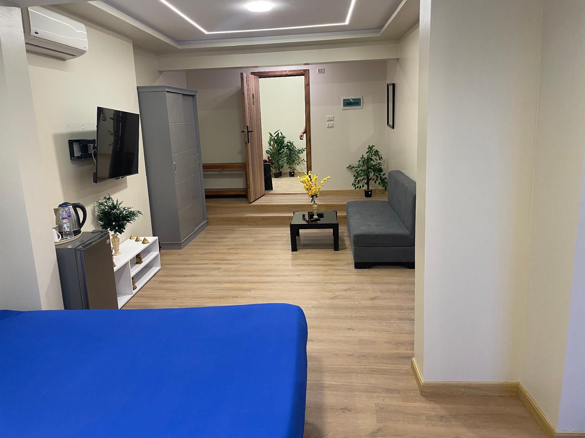 A hotel room with a bed, a television, a wardrobe, a desk, a sofa, and potted plants.
