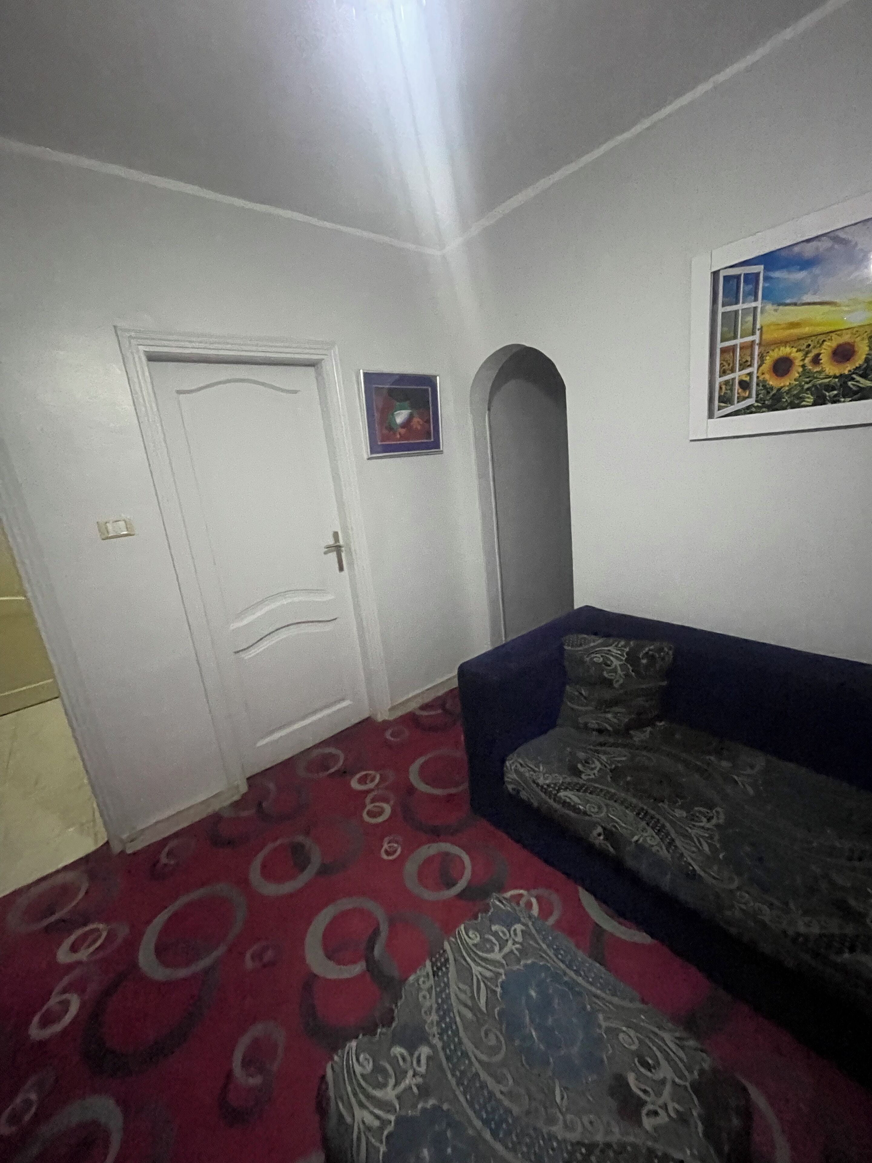 A room with a white door, a framed picture, a sofa, and a patterned carpet.