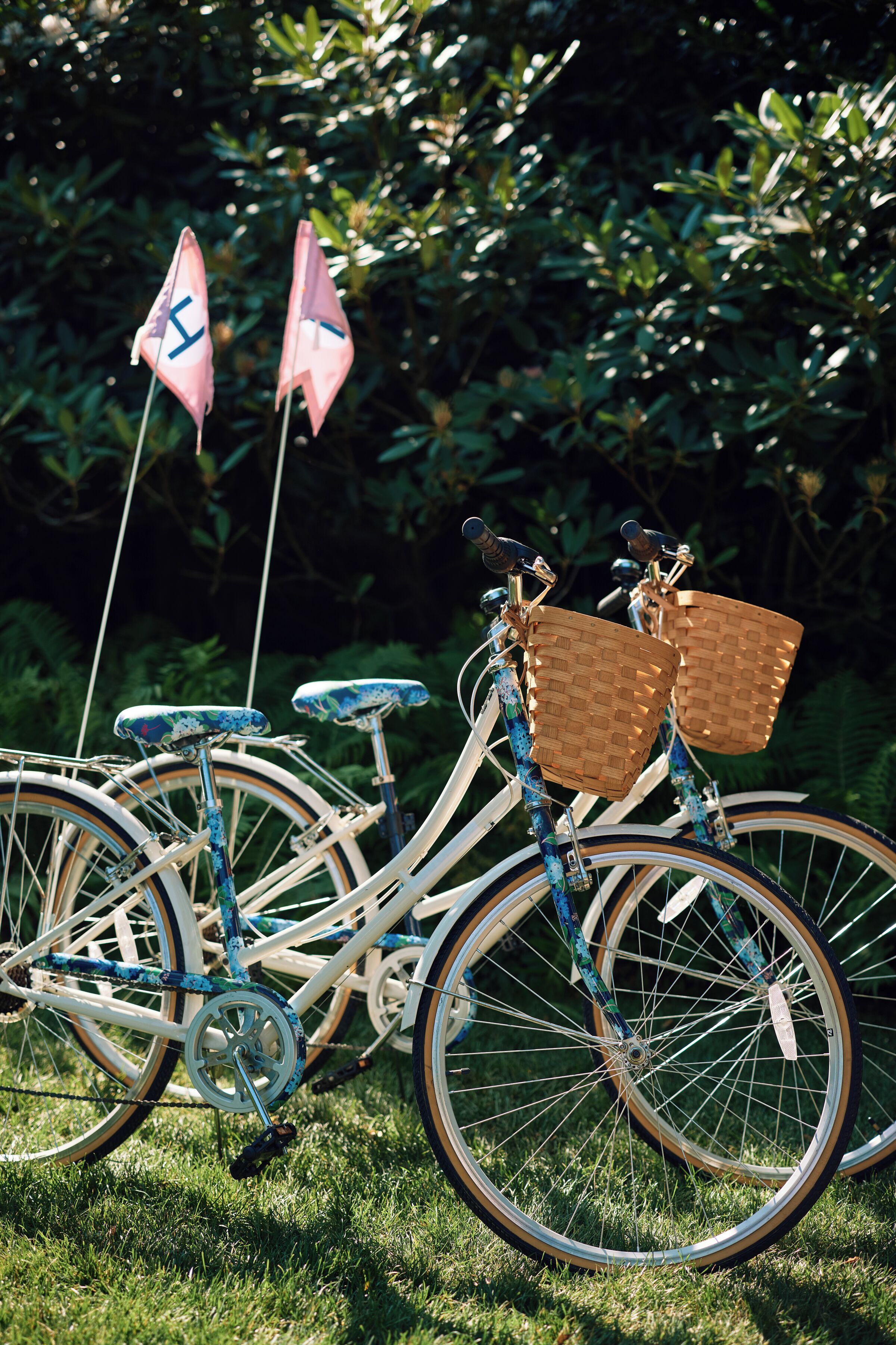 Two bicycles with baskets, flags, and a grassy background.