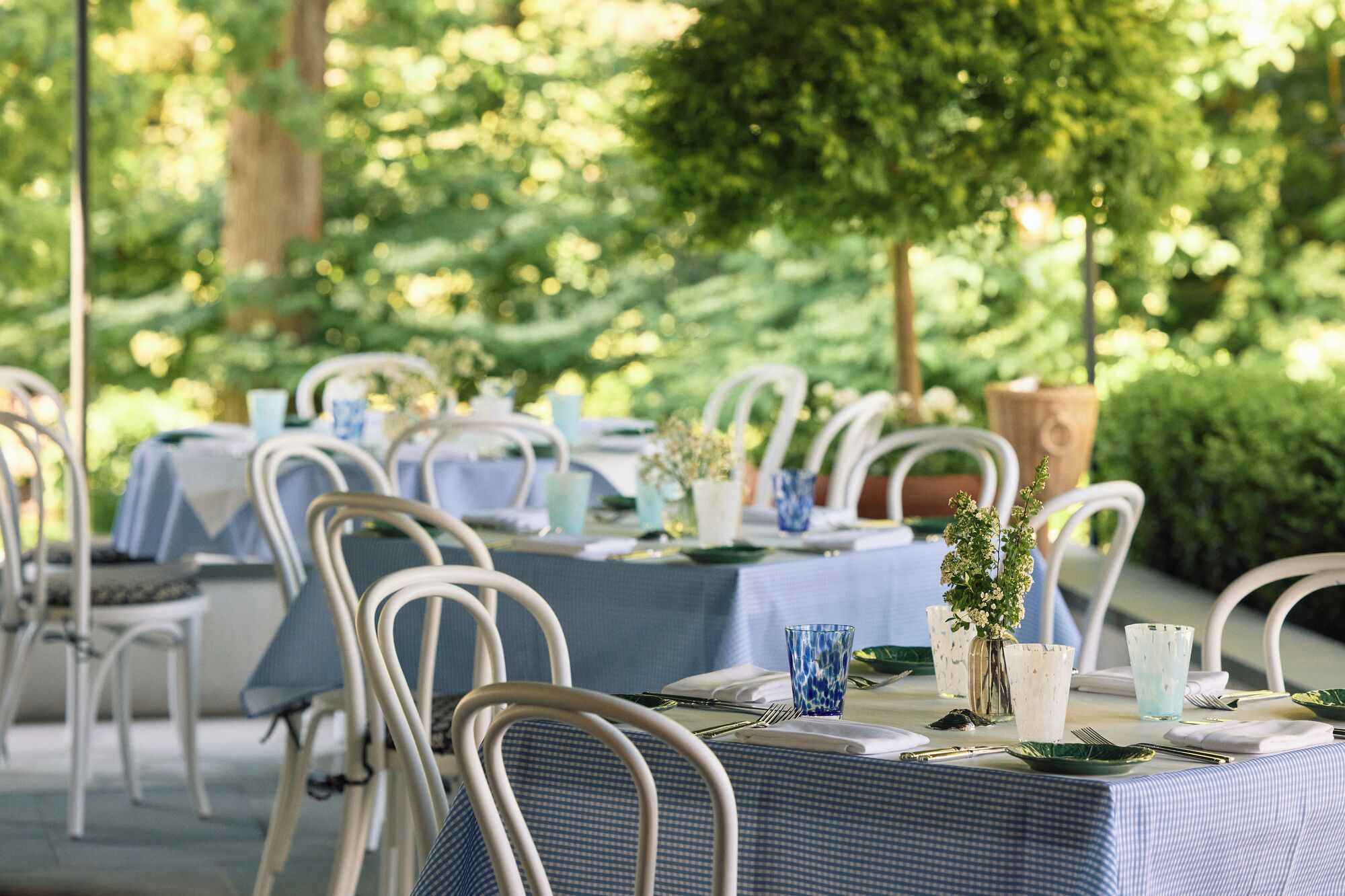 An outdoor dining area with tables set for a meal, surrounded by greenery.