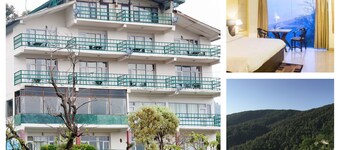 The Ayali Fernhill Resort, Chail