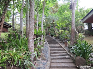 Property grounds - Cintai Coritos Garden (Balete)