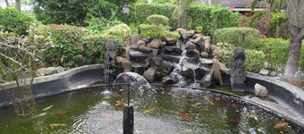 Cintai Coritos Garden