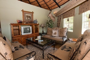 40-inch flat-screen TV with satellite channels, TV