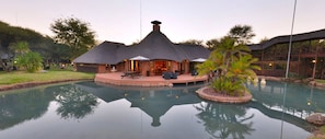 Outdoor pool - Ditholo Game Lodge (Thabazimbi)