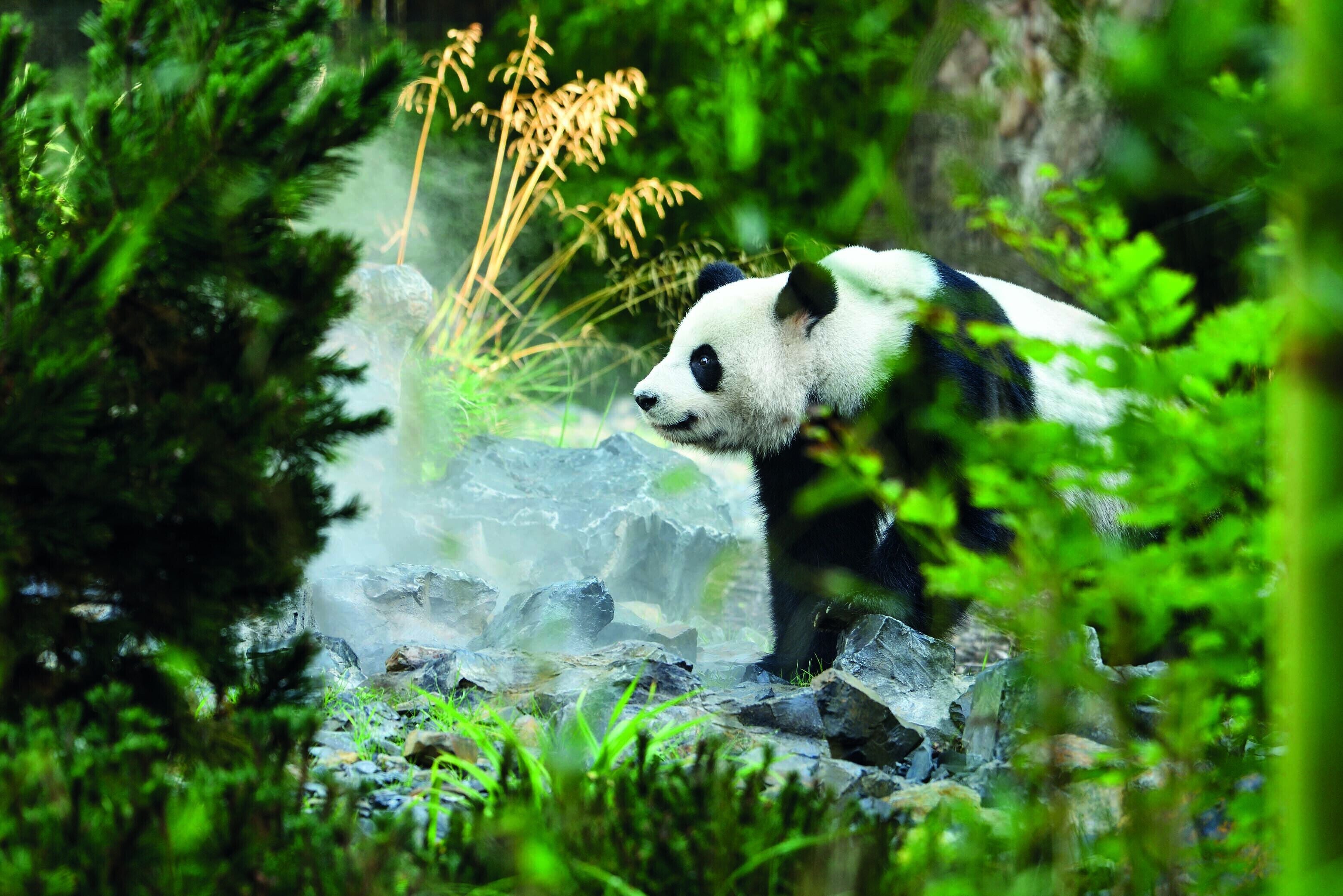 Photo - SO/ Berlin Das Stue