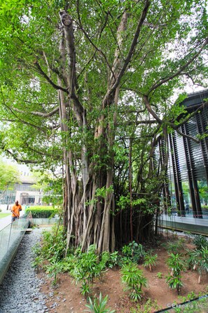 Enceinte de l’hébergement