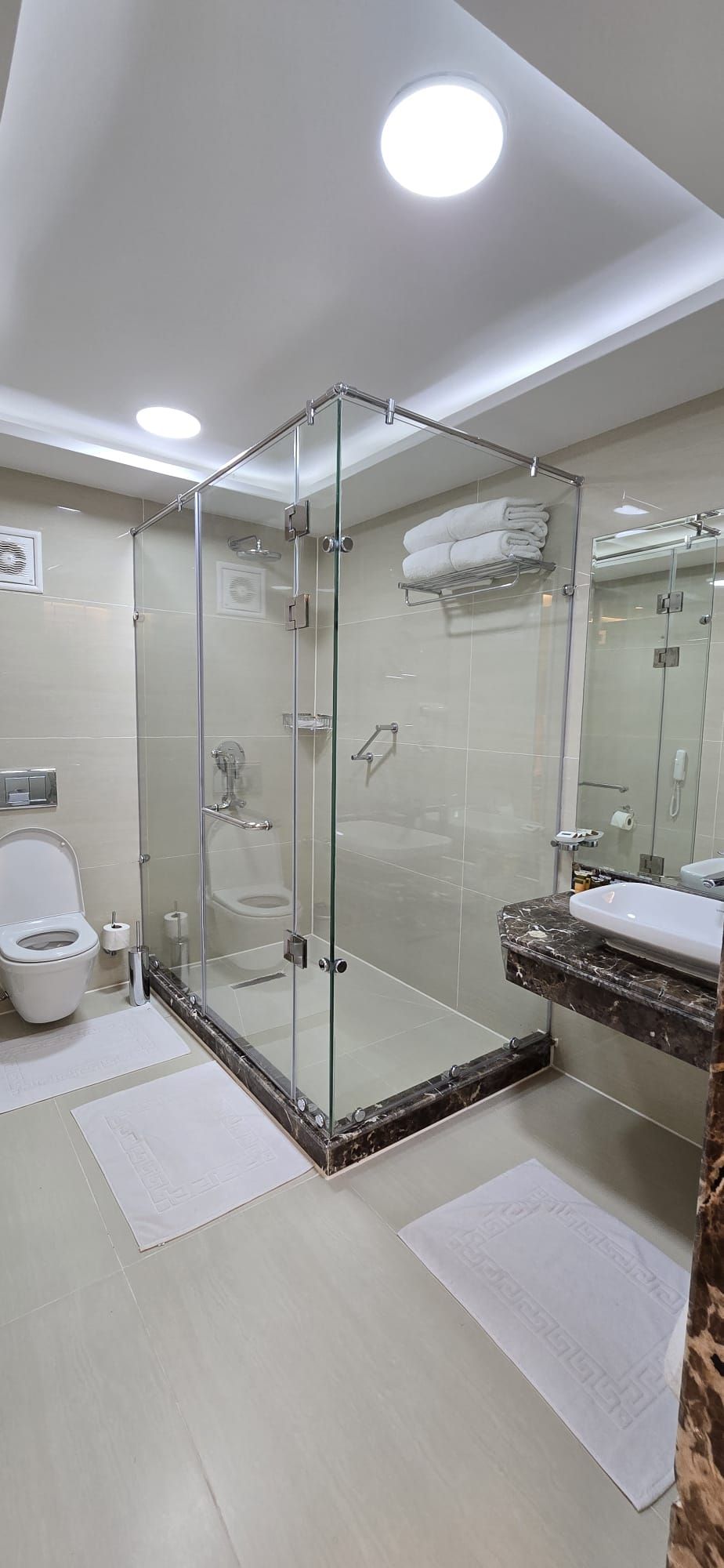 A modern bathroom with a glass-enclosed shower, a toilet, a sink, and a mirror.