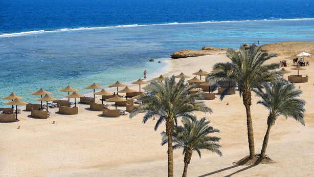 A beach with clear blue water, sandy shore, and palm trees. - Concorde Moreen Beach Resort & Spa (Marsa Alam)