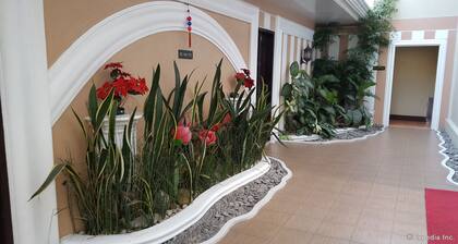 Hollywood Drive-In Hotel