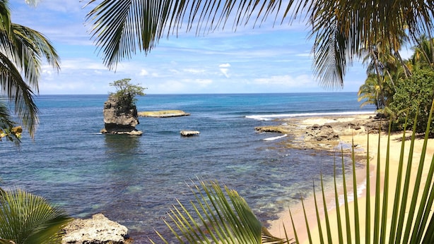 A tropical beach with clear blue water, rocky outcrops, and palm trees. - Physis Caribbean Bed & Breakfast (Cahuita)