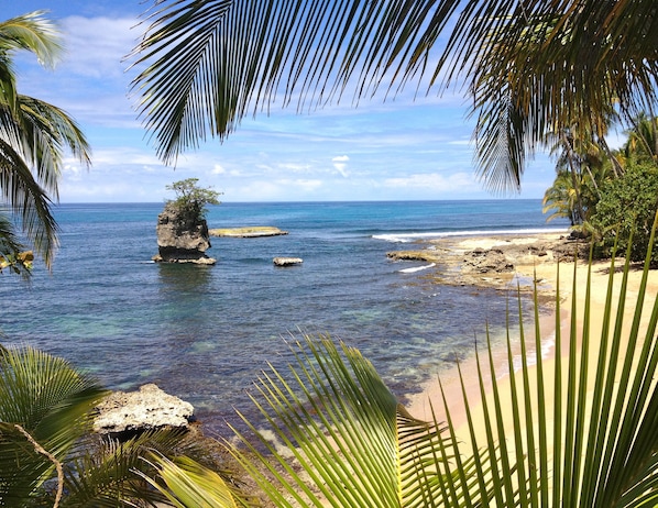 Beach nearby, white sand - Physis Caribbean Bed & Breakfast (Cahuita)