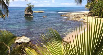 Physis Caribbean Bed & Breakfast