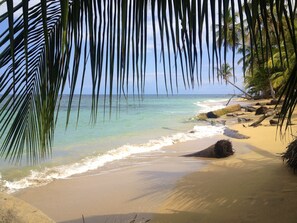 Beach nearby, white sand - Physis Caribbean Bed & Breakfast (Cahuita)