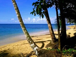 Beach nearby, white sand