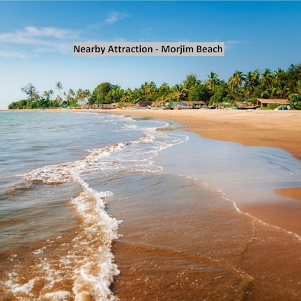 A beach with clear waters, palm trees, and beach huts.