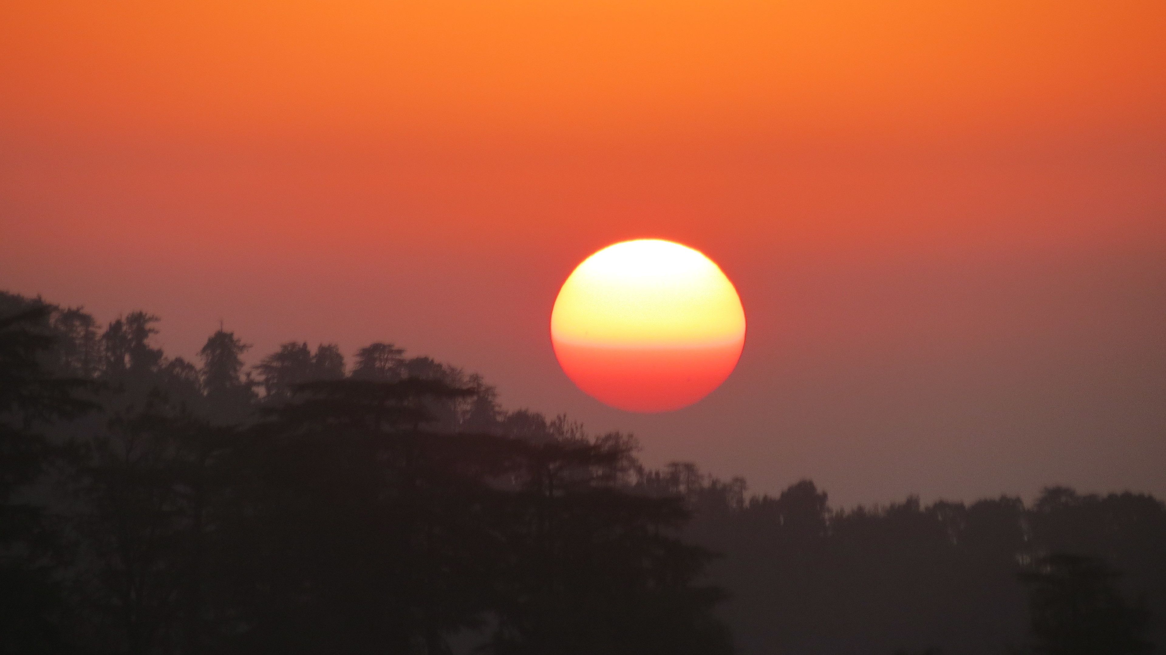 A sunset with a large sun partially obscured by trees.