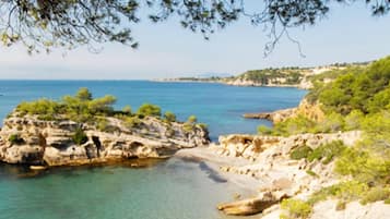 Ecotours